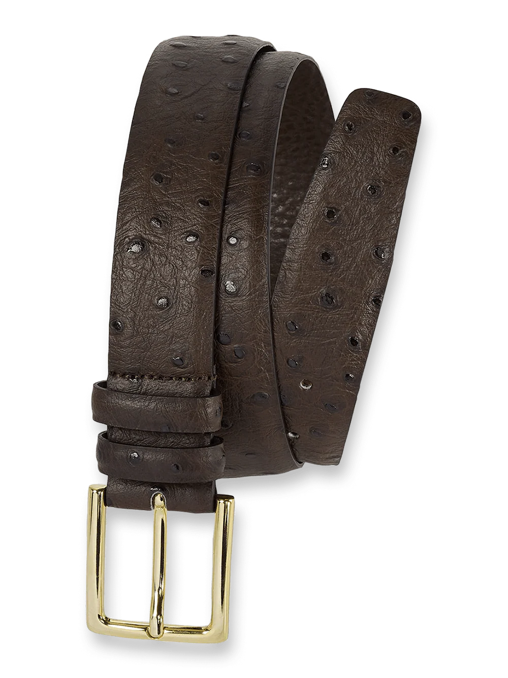 Ostrich Embossed Belt - Brown